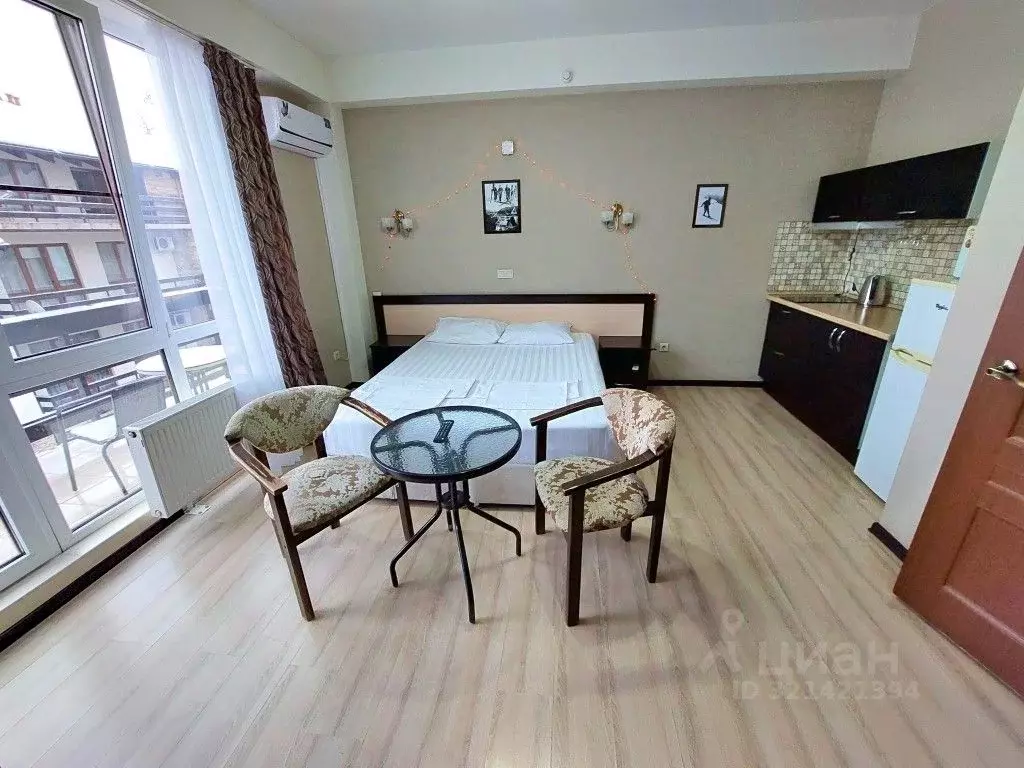 1-к кв. Краснодарский край, Сочи Красная Поляна пгт, ул. Калиновая, ... - Фото 2