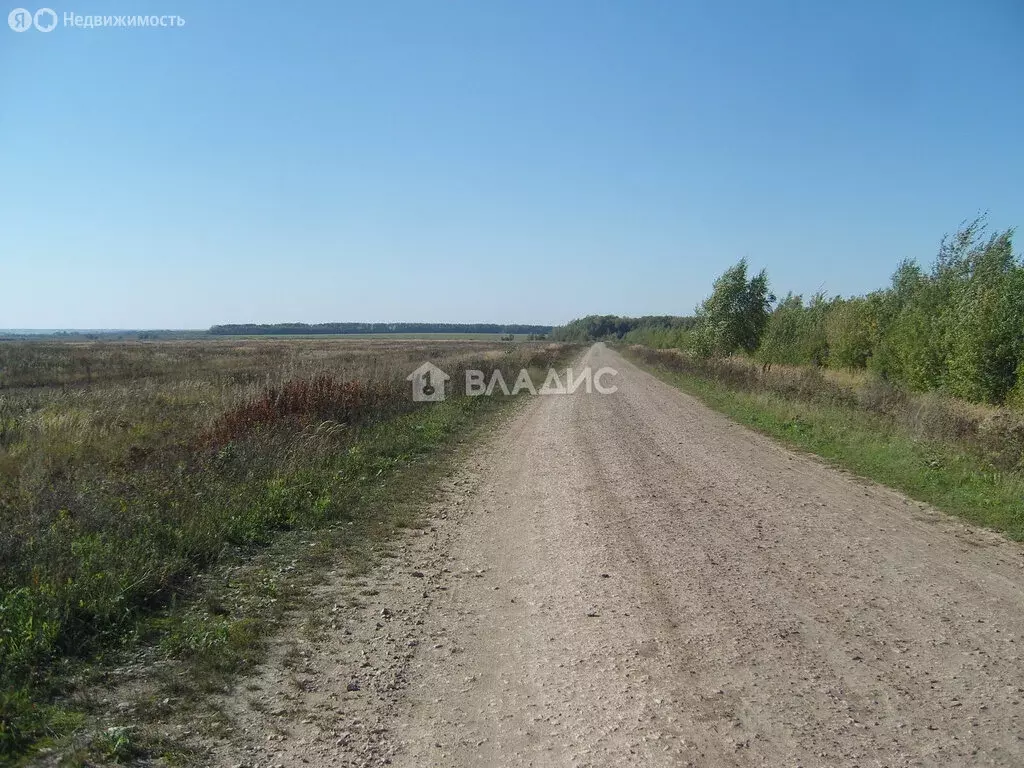 Участок в Московская область, городской округ Серпухов, СНТ Риск ... - Фото 1