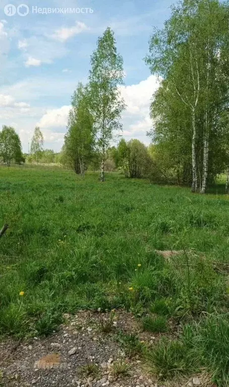 Участок в Наро-Фоминский городской округ, садовое товарищество Стрела, ... - Фото 1