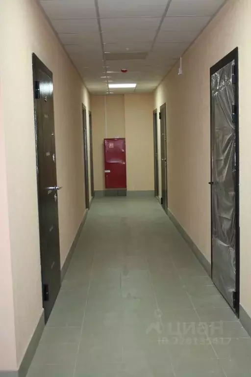 2-к кв. Московская область, Красноармейск Пушкинский городской округ, ... - Фото 2