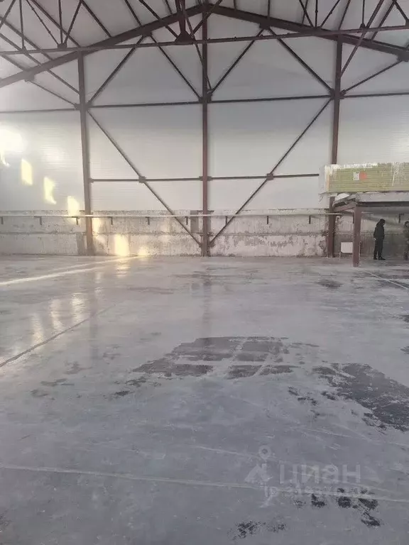 Склад в Тюменская область, Тюмень ул. Щербакова, 207 (1250 м) - Фото 0