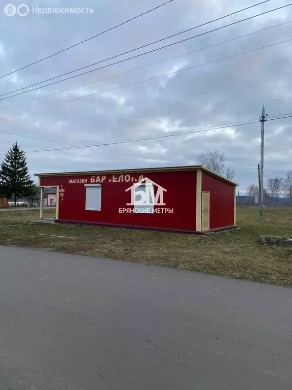 Торговая площадь (66.4 м) - Фото 1