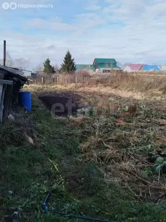 Дом в Скала, Лесная улица (45 м) - Фото 1