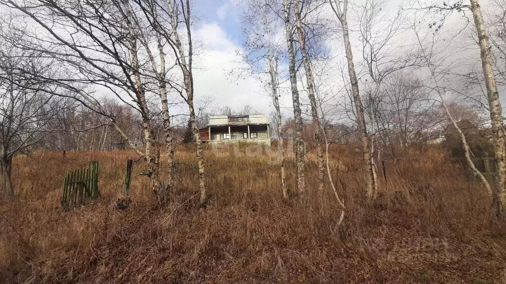 Участок в Камчатский край, Елизовский муниципальный округ, пос. ... - Фото 2