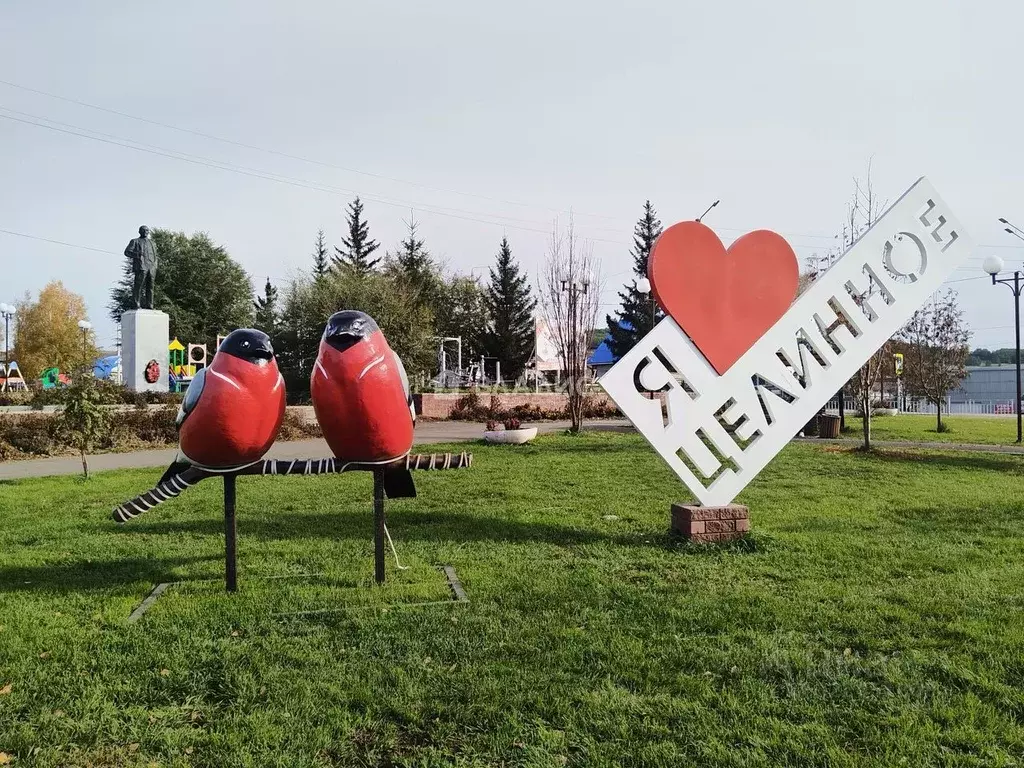 1-к кв. Алтайский край, Целинный район, с. Целинное Целинная ул., 12 ... - Фото 1