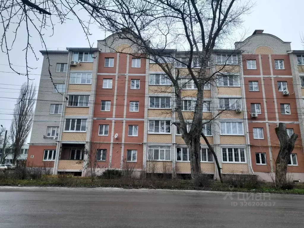 1-к кв. Липецкая область, Елец ул. Костенко, 42В (37.1 м) - Фото 1