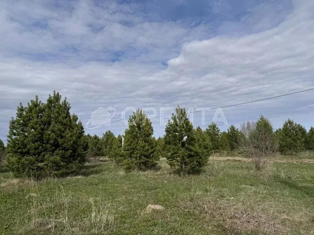 Участок в Свердловская область, Слободо-Туринский район, ... - Фото 0