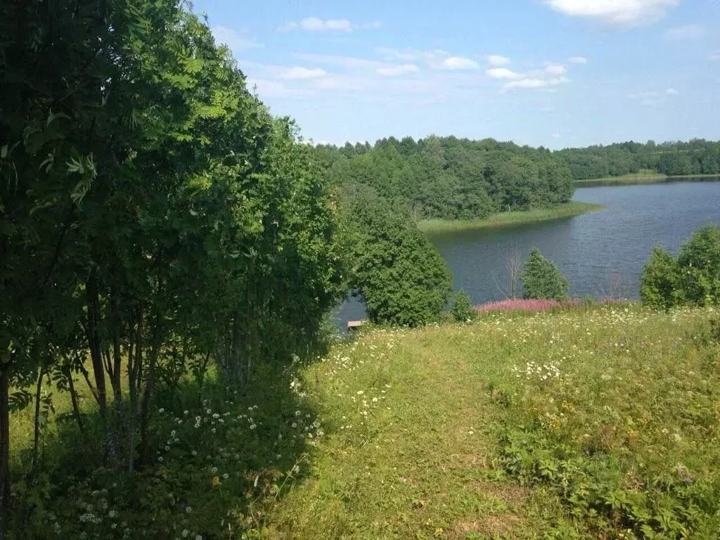 Участок в Тверская область, Осташковский муниципальный округ, д. ... - Фото 2