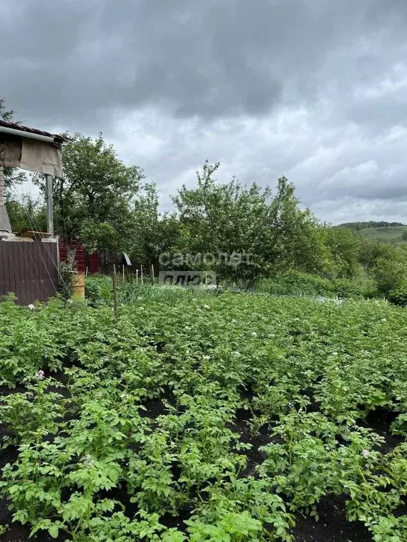 Участок в Башкортостан, Октябрьский Дубки-1 СНТ,  (4.5 сот.) - Фото 0