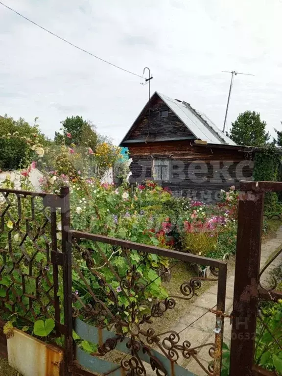 Дом в Тюменская область, Тюмень Якорь садовое товарищество, ул. ... - Фото 2