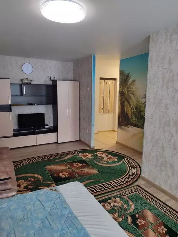 1-к кв. Московская область, Долгопрудный Центральная ул., 2 (33.0 м) - Фото 1