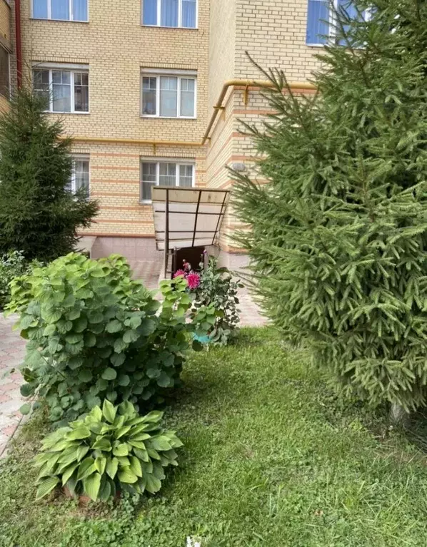 Помещение свободного назначения в Московская область, Одинцовский ... - Фото 2