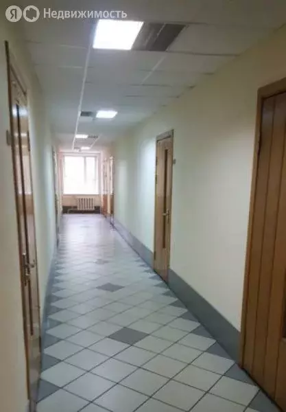 Офис (20.3 м) - Фото 1