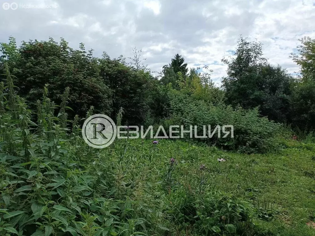 Участок в Пермь, улица Лифанова, 136 (7.13 м) - Фото 2