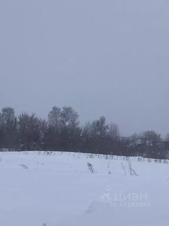 Участок в Нижегородская область, Дальнеконстантиновский муниципальный ... - Фото 0