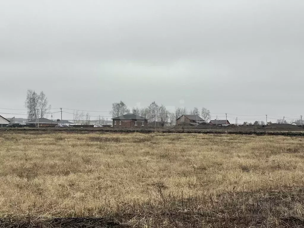 Участок в Мордовия, Лямбирский район, Берсеневское с/пос, Альтерра кп  ... - Фото 2