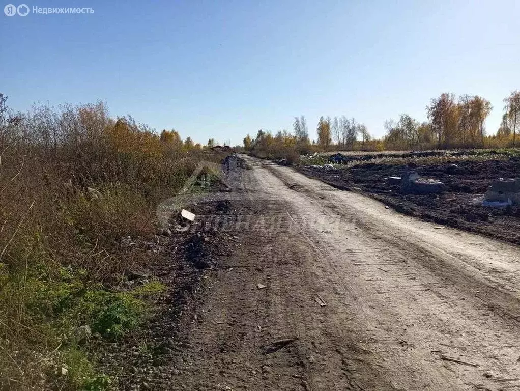 Участок в Тюмень, территория СОСН Русское Поле, Тенистая улица (8 м) - Фото 1