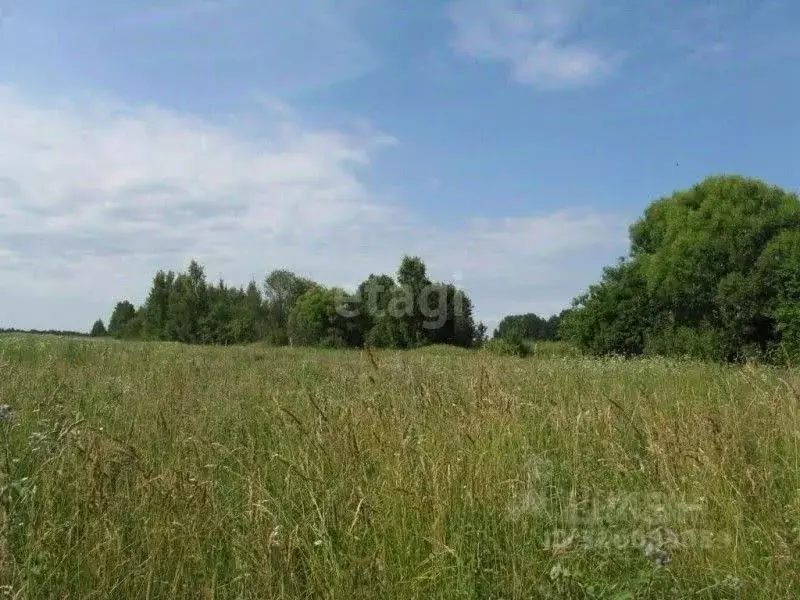 Участок в Калужская область, Калуга городской округ, д. Лихун ул. ... - Фото 0