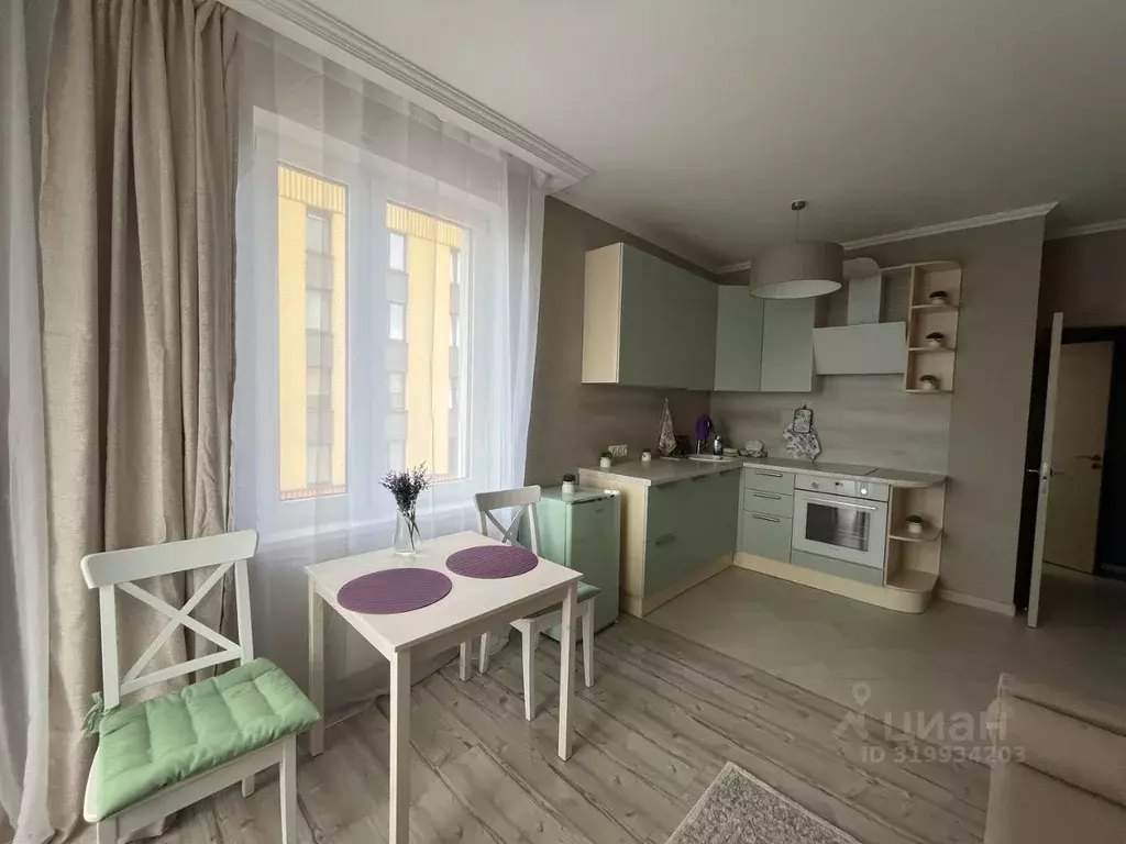 Студия Санкт-Петербург Комендантский просп., 60к3 (24.3 м) - Фото 0