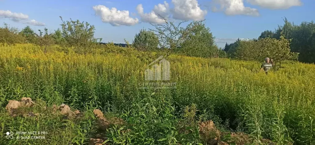 Участок в Калининградская область, Зеленоградский муниципальный округ, ... - Фото 2