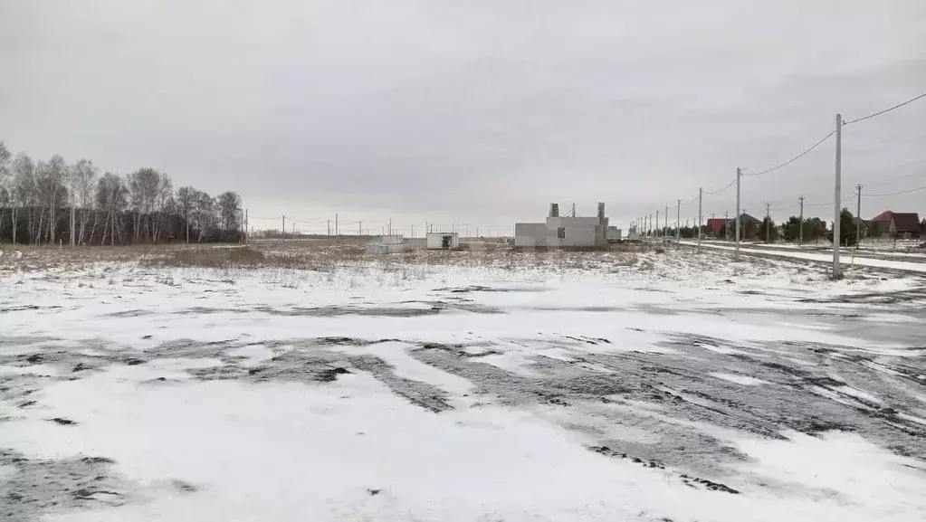 Участок в Алтайский край, Первомайский район, с. Фирсово  (8.0 сот.) - Фото 1