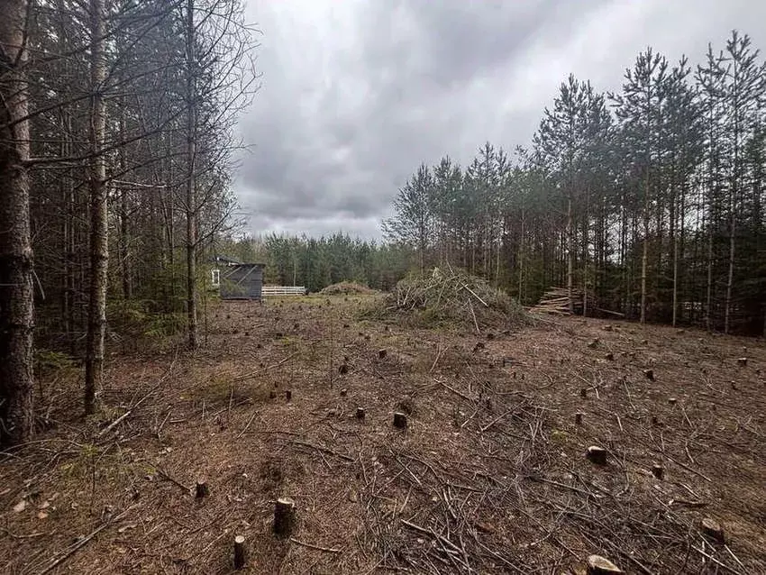 Участок в Кировская область, Слободской муниципальный район, Шиховское ... - Фото 2