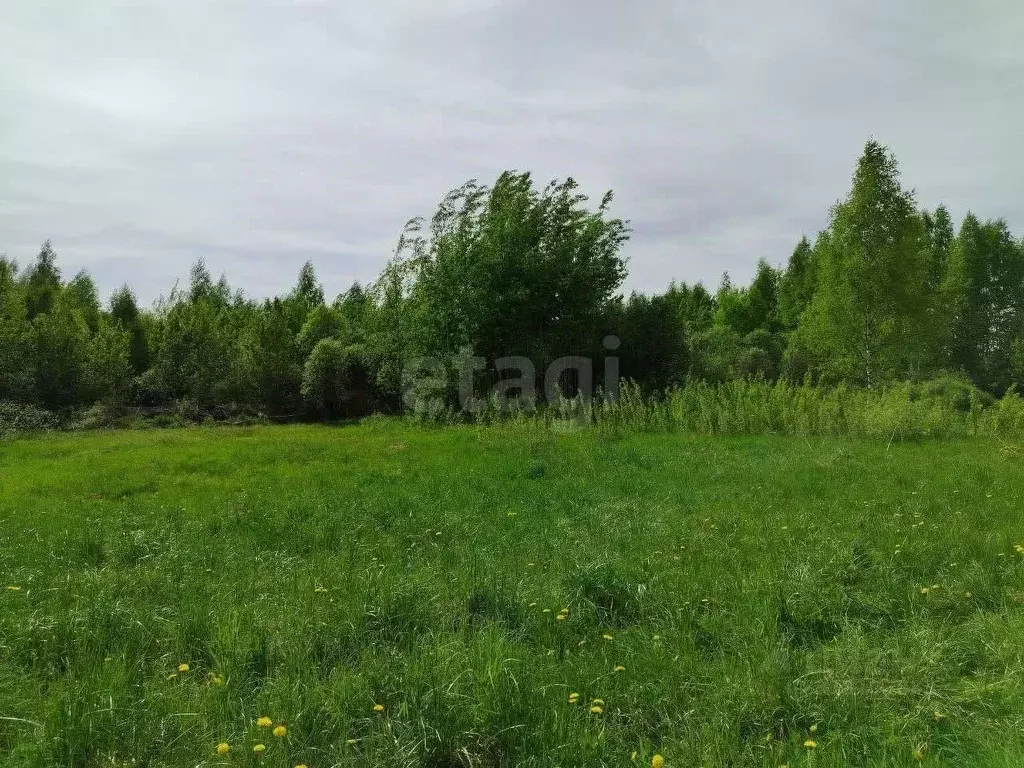 Участок в Вологодская область, Череповецкий район, Ирдоматское с/пос, ... - Фото 1