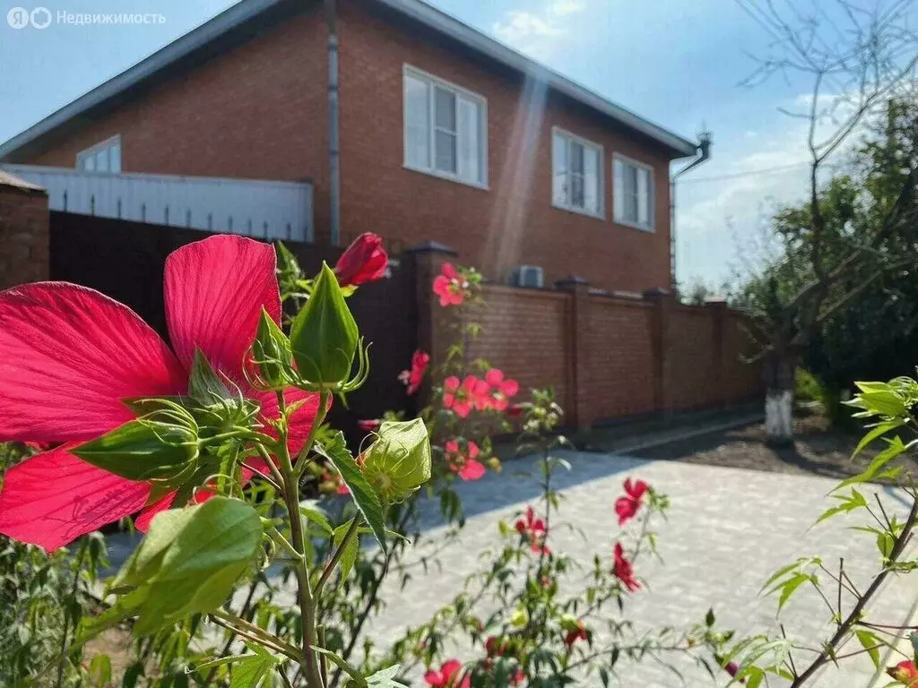 Дом в Усть-Лабинск, улица Ленина, 33 (250.3 м) - Фото 2