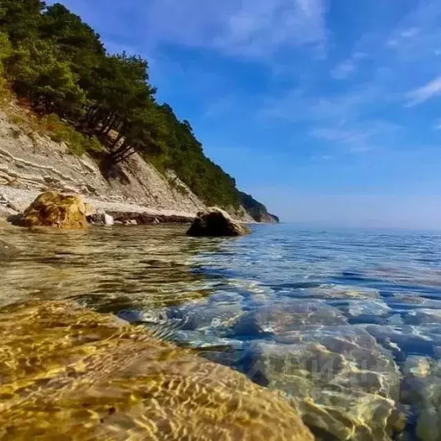 Участок в Краснодарский край, Геленджик муниципальное образование, с. ... - Фото 1