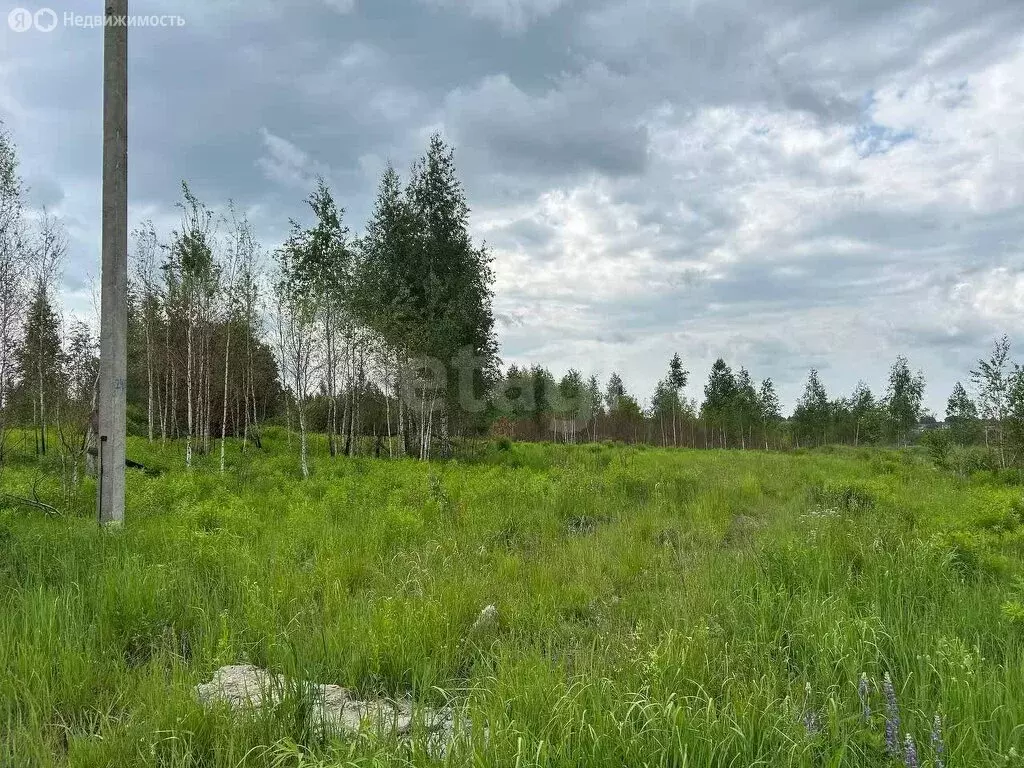 Участок в Брянск (38 м) - Фото 0