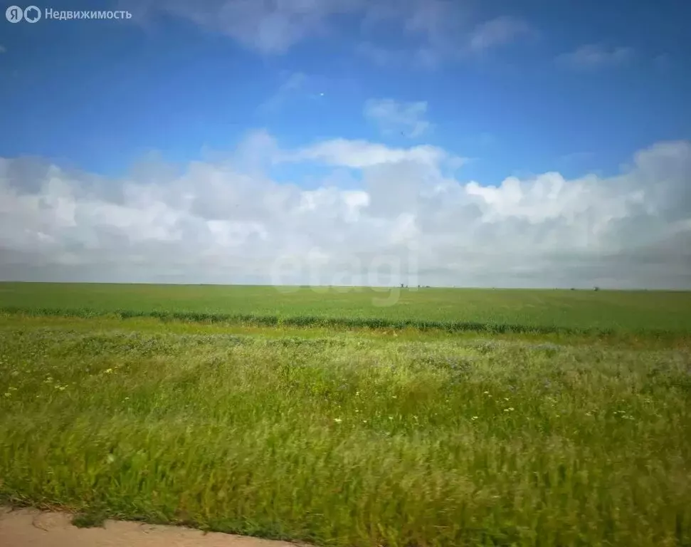 Участок в Сакский район, село Крайнее (133 м) - Фото 2