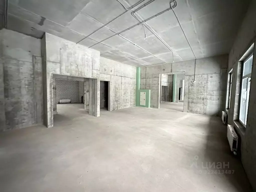 Помещение свободного назначения в Татарстан, Казань ул. Николая ... - Фото 2