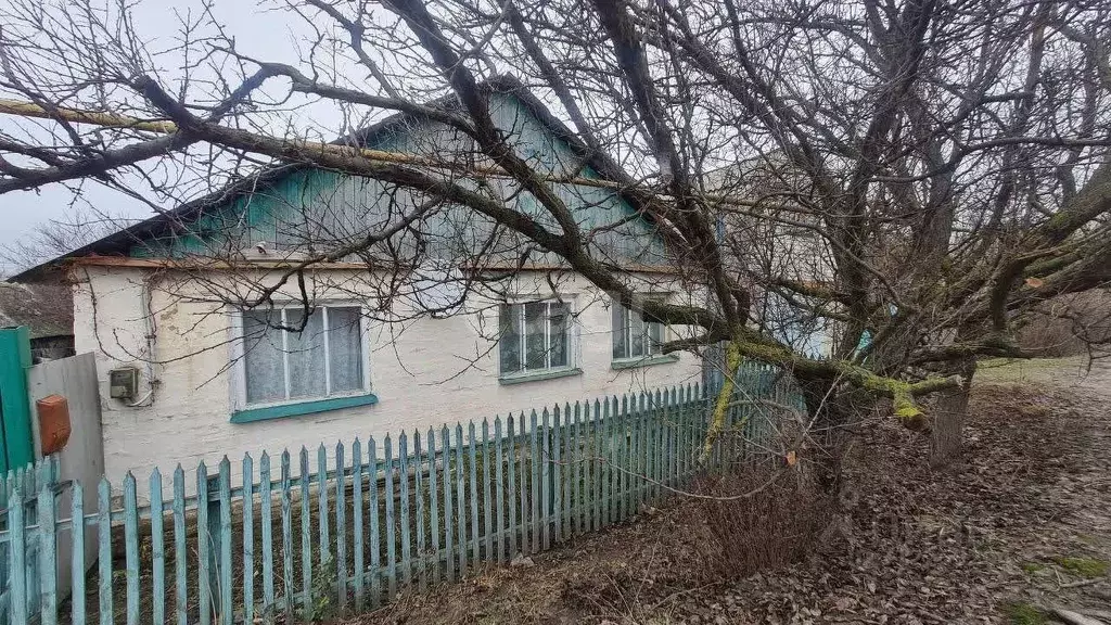 Дом в Белгородская область, Волоконовка рп ул. Крупской (73 м) - Фото 0