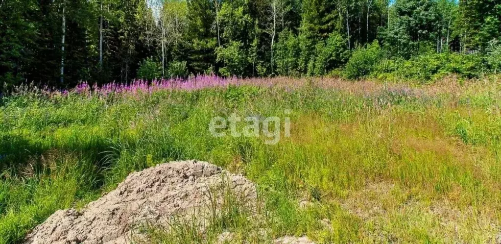 Дом в Ханты-Мансийский АО, Ханты-Мансийск Разведчик садоводческий ... - Фото 0