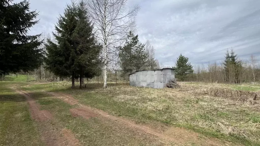 Участок в Ленинградская область, Киришский район, Будогощское ... - Фото 0