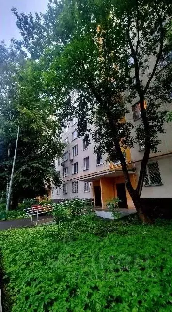 Комната Москва Широкая ул., 16 (19.0 м) - Фото 0
