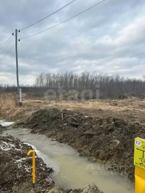 Участок в Сахалинская область, Анивский городской округ, с. ... - Фото 1