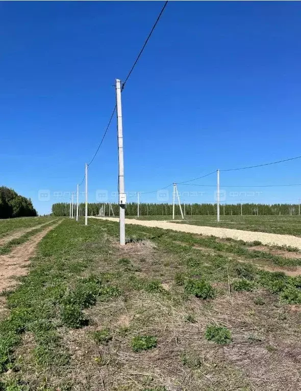Участок в Татарстан, Высокогорский район, с. Альдермыш ул. Мира (10.0 ... - Фото 2