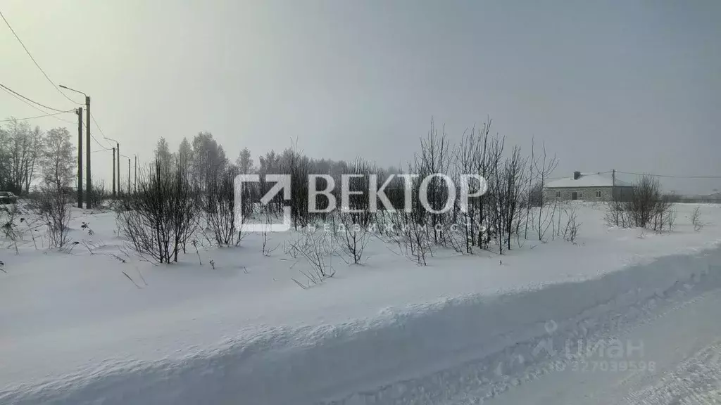 Участок в Костромская область, Кострома Первый кп, проезд Камышинский, ... - Фото 1