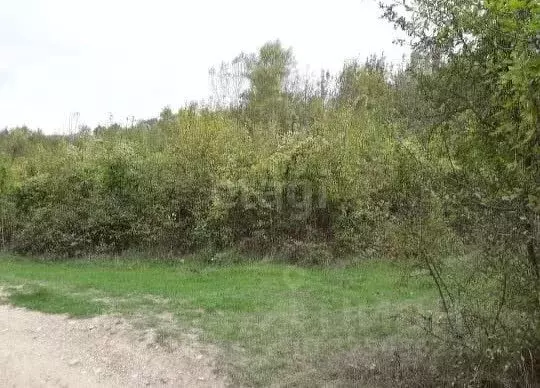 Участок в Краснодарский край, Геленджик городской округ, с. Адербиевка ... - Фото 1