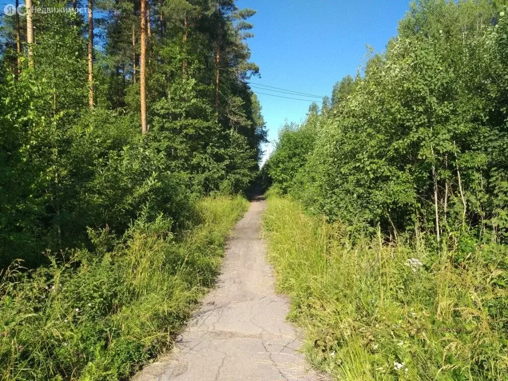 Дом в Гатчинский район, Вырицкое городское поселение, садоводческий ... - Фото 0