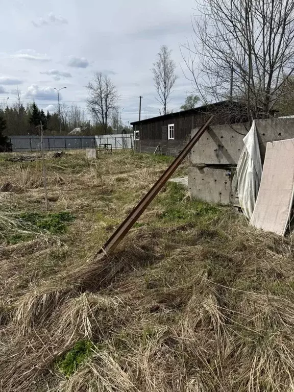 Участок в Ленинградская область, Тосненское городское поселение, д. ... - Фото 2