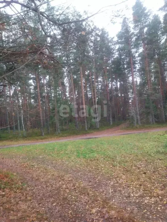 Участок в Псковская область, Печорский муниципальный округ, д. ... - Фото 2