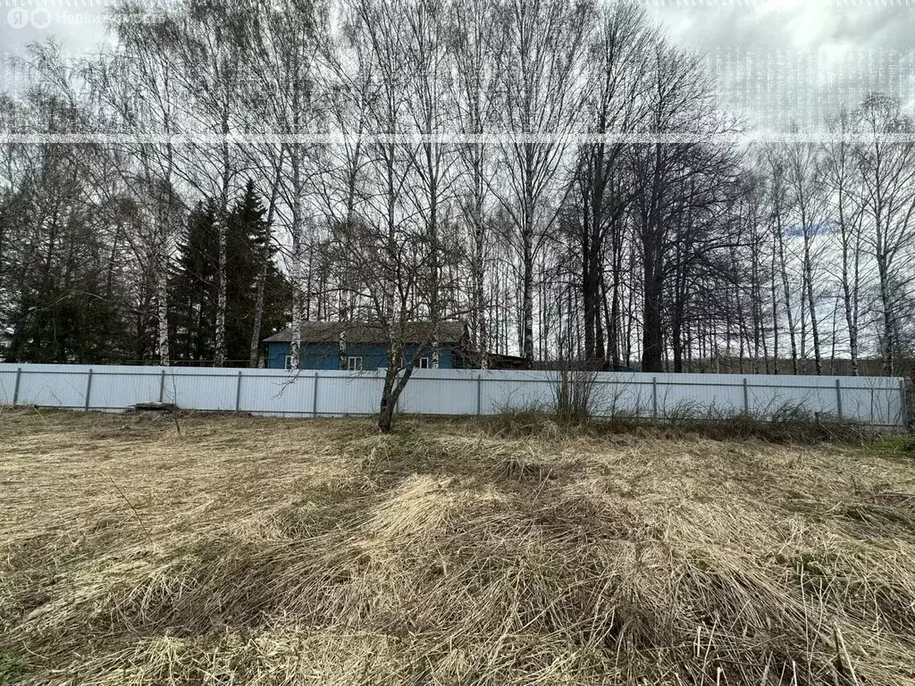 Участок в Нижегородская область, Лысковский муниципальный округ, ... - Фото 2
