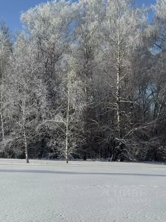 Участок в Тульская область, Заокский район, Малаховское с/пос, Нова ... - Фото 2
