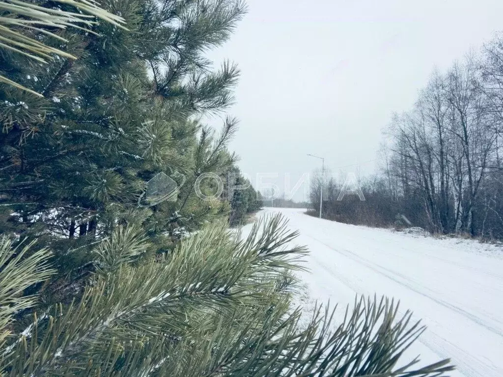 Участок в Тюменская область, Тюменский муниципальный округ, с. ... - Фото 1