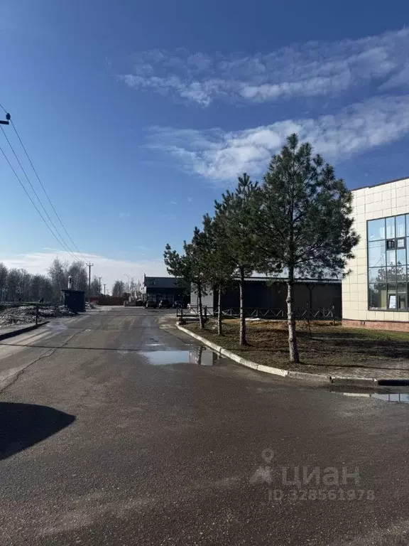 Участок в Московская область, Раменский муниципальный округ, Кратово ... - Фото 2