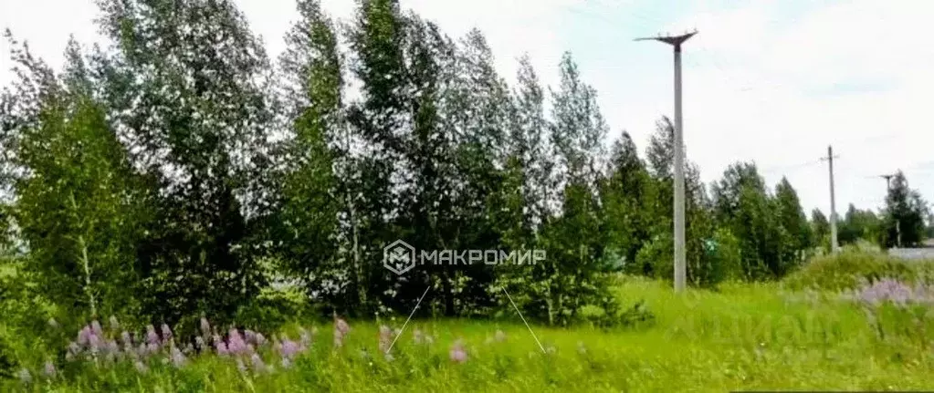 Участок в Челябинская область, Аргаяшский муниципальный округ, Тимер ... - Фото 1
