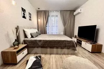 1-к кв. Воронежская область, Воронеж ул. Пескова, 3 (42.0 м) - Фото 0