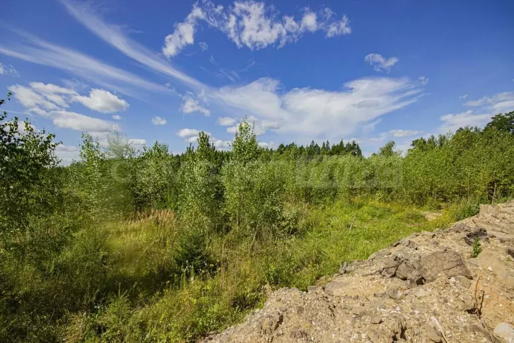 Участок в Московская область, Наро-Фоминский городской округ, Парус ... - Фото 1
